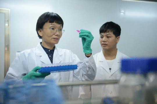 人大代表:通过修法补齐野生动物养殖和走私漏洞