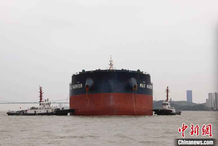 “勇士”轮在拖轮的协助下转危为安。 陆娇婕 摄 300米长巨轮全船断电失控 引航员果断处置成功脱险