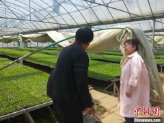 山西上党建云端“农业诊所” 线上问诊护航春耕